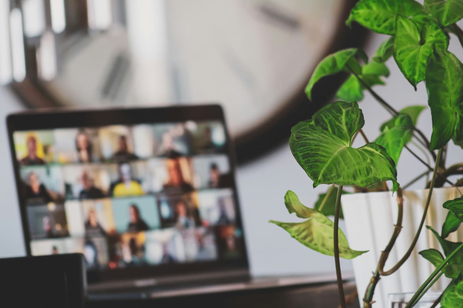 Bærbar computer med et videomøde med mange deltagere, ved siden af en grøn potteplante